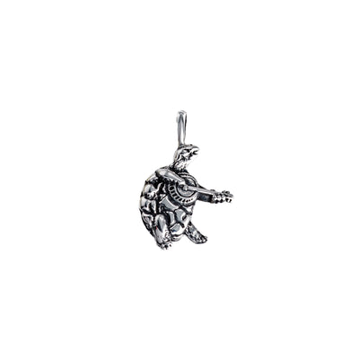 Terrapin Sterling Silver Charm